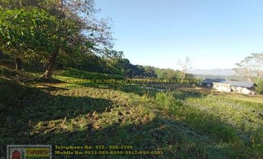 A Self-Sufficient Homestead For Sale in Abra
