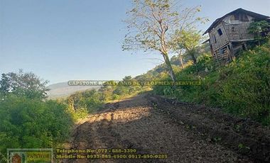 A Self-Sufficient Homestead For Sale in Abra