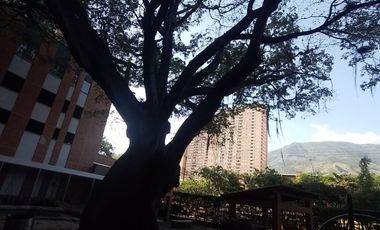 Apartamento en Venta Ceiba del Norte. Bello Antioquia