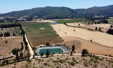 Campo con huerto de Arándanos en Pumanque, Región de O'Higgins