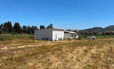 Campo con huerto de Arándanos en Pumanque, Región de O'Higgins