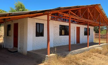 Campo con huerto de Arándanos en Pumanque, Región de O'Higgins
