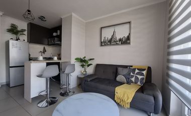 aparthotel de arriendo diario santiago-centro