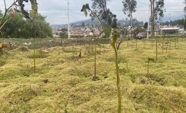 Terreno planito en venta 700m2 sector Carmen del Guzho - Cuenca