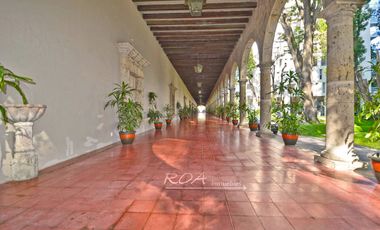 Central Park: Departamento Amueblado de 3 Recamaras con Vista Panorámica – English Spoken