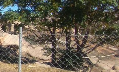 Terreno Habitacional en Tecate, Col. Salamandra, 250 m²