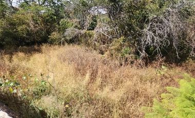 Terreno en VENTA, Fraccionamiento Club Náutico Puente Viejo, Juanacatlán