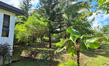 ALFONSO FARM LOT
