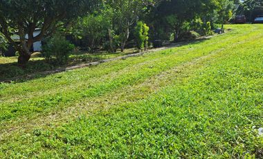 ALFONSO FARM LOT