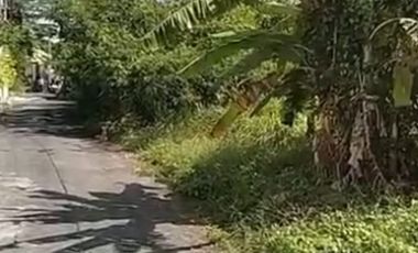 Freehold - Prime land for sale in great area Cemagi, close to Canggu, Bali
