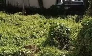 Freehold - Prime land for sale in great area Cemagi, close to Canggu, Bali
