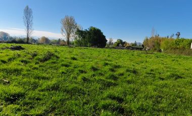 Los Almendros