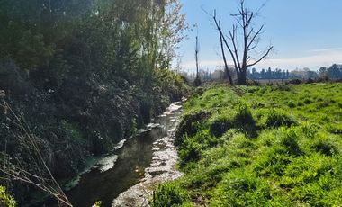 Los Almendros