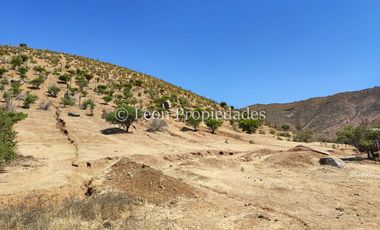 Leon Propiedades vende parcela con casa en sector Las Rosas, Curacaví.