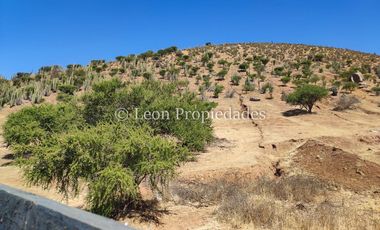 Leon Propiedades vende parcela con casa en sector Las Rosas, Curacaví.