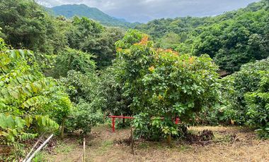Casa Finca con Río, Vista a Santa Marta en Venta, Via a Minca, Tigrera