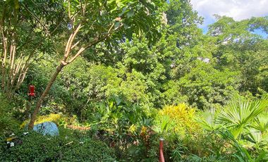 Casa Finca con Río, Vista a Santa Marta en Venta, Via a Minca, Tigrera
