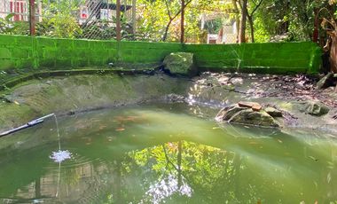 Casa Finca con Río, Vista a Santa Marta en Venta, Via a Minca, Tigrera