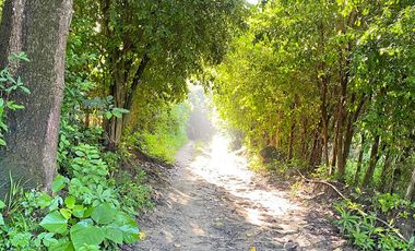 Casa Finca con Río, Vista a Santa Marta en Venta, Via a Minca, Tigrera