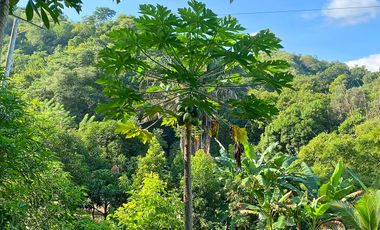 Casa Finca con Río, Vista a Santa Marta en Venta, Via a Minca, Tigrera