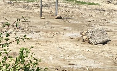 VENDO TERRENO EN SALINAS
