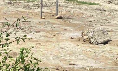 VENDO TERRENO EN SALINAS