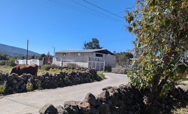 TERRENO DE UNA HECTÁREA CON ESCRITURA PUBLICA DIVERSOS USOS