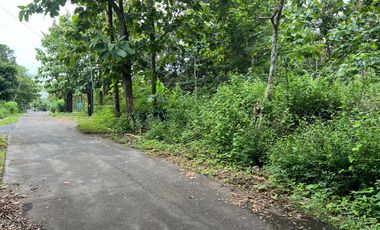 Pekarangan Super Datar 740m² Karanganyar Utara