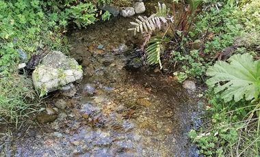 Lago Ranco