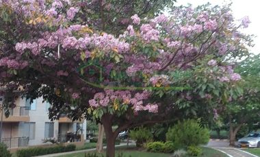 En Ricaurte- Cundinamarca Vendemos apartamento condominio Hacienda Peñalisa Ocobo.