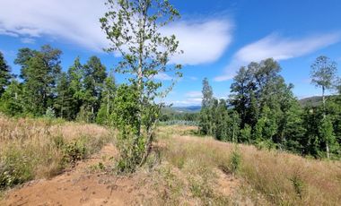 Parcela en Exclusivo Loteo Alto Río