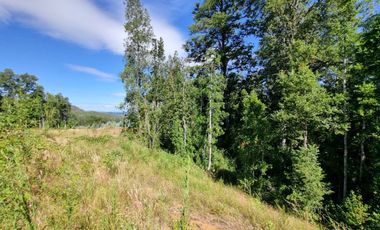 Parcela en Exclusivo Loteo Alto Río