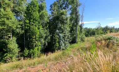 Parcela en Exclusivo Loteo Alto Río