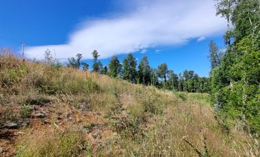 Parcela en Exclusivo Loteo Alto Río