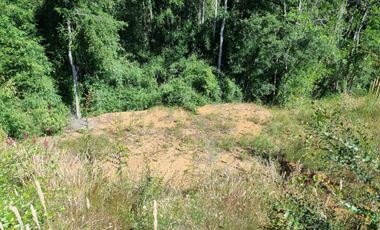 Parcela en Exclusivo Loteo Alto Río