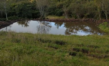 FINCA EN VENTA EN CHIQUINQUIRÁ (BOYACÁ)