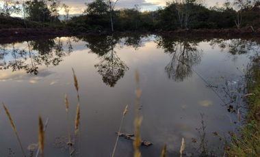 FINCA EN VENTA EN CHIQUINQUIRÁ (BOYACÁ)