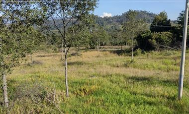 FINCA EN VENTA EN CHIQUINQUIRÁ (BOYACÁ)