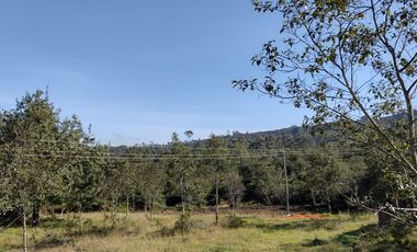 FINCA EN VENTA EN CHIQUINQUIRÁ (BOYACÁ)