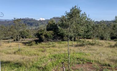 FINCA EN VENTA EN CHIQUINQUIRÁ (BOYACÁ)