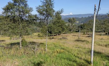 FINCA EN VENTA EN CHIQUINQUIRÁ (BOYACÁ)