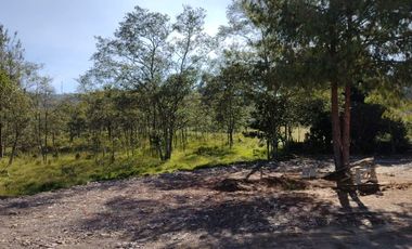 FINCA EN VENTA EN CHIQUINQUIRÁ (BOYACÁ)