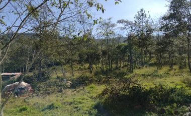 FINCA EN VENTA EN CHIQUINQUIRÁ (BOYACÁ)