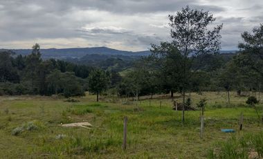 FINCA EN VENTA EN CHIQUINQUIRÁ (BOYACÁ)