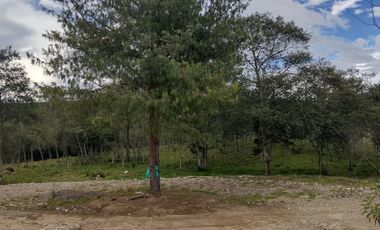 FINCA EN VENTA EN CHIQUINQUIRÁ (BOYACÁ)