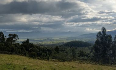 FINCA EN VENTA EN CHIQUINQUIRÁ (BOYACÁ)