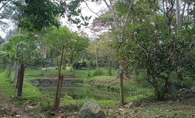 FINCA EN VENTA EN FUSAGASUGÁ