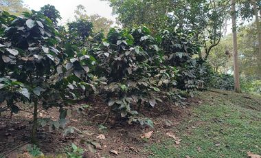 FINCA EN VENTA EN FUSAGASUGÁ