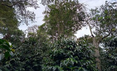 FINCA EN VENTA EN FUSAGASUGÁ