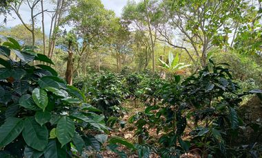 FINCA EN VENTA EN FUSAGASUGÁ
